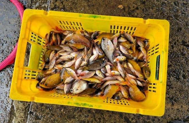 3fb8c32fffd711ab6fb8d38a4083746f74693632cb53e74e1d767f9ff5acd4b3bef27224f7ccdff605a884f7