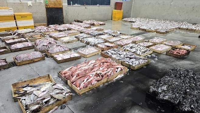 3fb8c32fffd711ab6fb8d38a4083746f74693232c853e44d1d797e93f5acd4b3cd95b5a65ee05b20c3fe521f