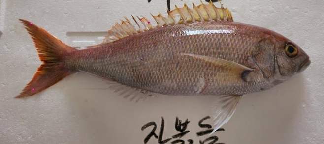 3fb8c32fffd711ab6fb8d38a4785766db36f0acb3382df333b64dae3cf62acb59f975a8a8318d0f05735a425bc