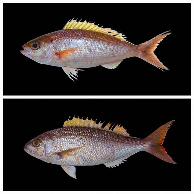 3fb8c32fffd711ab6fb8d38a4789766d8343cc1635b35e760cebaa8bc6889a2d6ca972e00a9fcf34e6100a5bb8