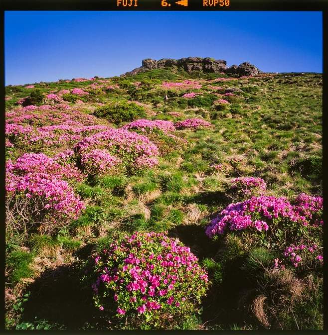 7fed8273a8826eeb3fec9be546837c7dda06b04f86897fb762d36e96d86381a2eaa7332af0