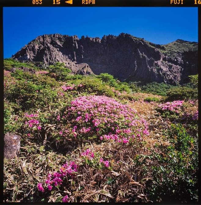 7fed8273a8826eeb3fec9be54683767ddfade67d3aced33e2265a95444383ec206a64ce3bc