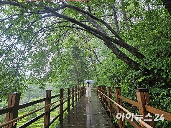 미동산수목원 열린마음나눔길. [사진=장예린 기자]