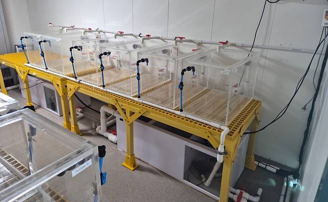 해양생물 배양 시스템 (한국해양과학기술원 제공)