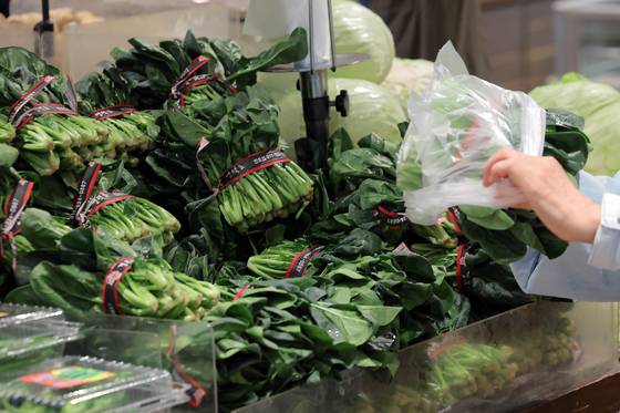 서울 시내 대형마트에서 판매되는 시금치. 뉴스1