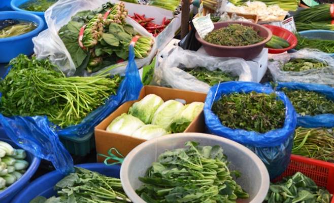 사진=게티이미지뱅크