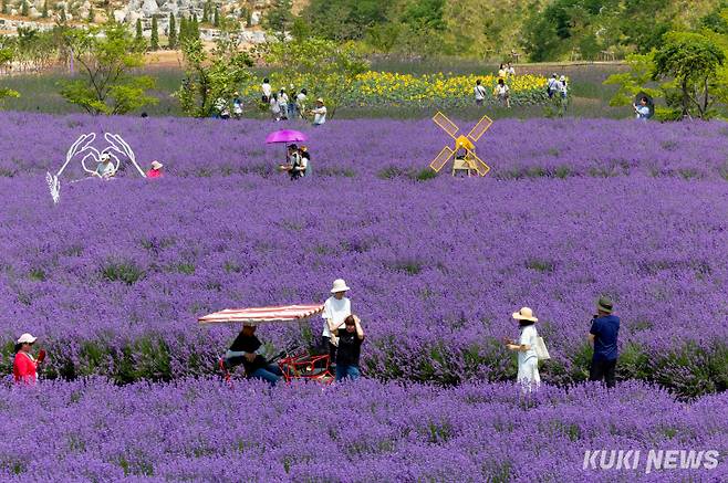 무릉별유천지 라벤더 정원. (사진=동해시)