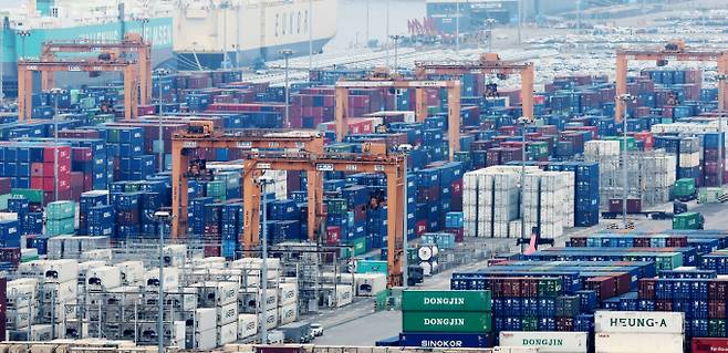 경기 평택시 포승읍 평택항에 수출용 컨테이너가 세워져 있다. / 사진=뉴스1 장수영 기자 /사진=(평택=뉴스1) 장수영 기자