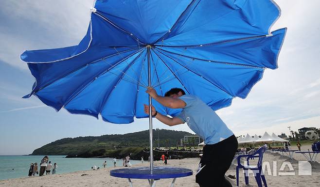 [제주=뉴시스] 우장호 기자 = 제주도 내 해수욕장 조기 개장을 하루 앞둔 23일 오전 제주시 조천읍 함덕해수욕장에서 피서객을 위한 파라솔 설치 작업이 한창이다. 2025.06.23. woo1223@newsis.com