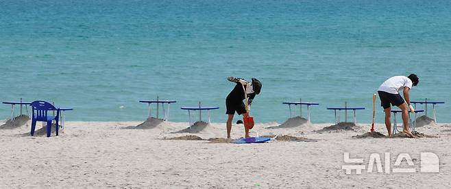 [제주=뉴시스] 우장호 기자 = 제주도 내 해수욕장 조기 개장을 하루 앞둔 23일 오전 제주시 조천읍 함덕해수욕장에서 피서객을 위한 파라솔 설치 작업이 한창이다. 2025.06.23. woo1223@newsis.com