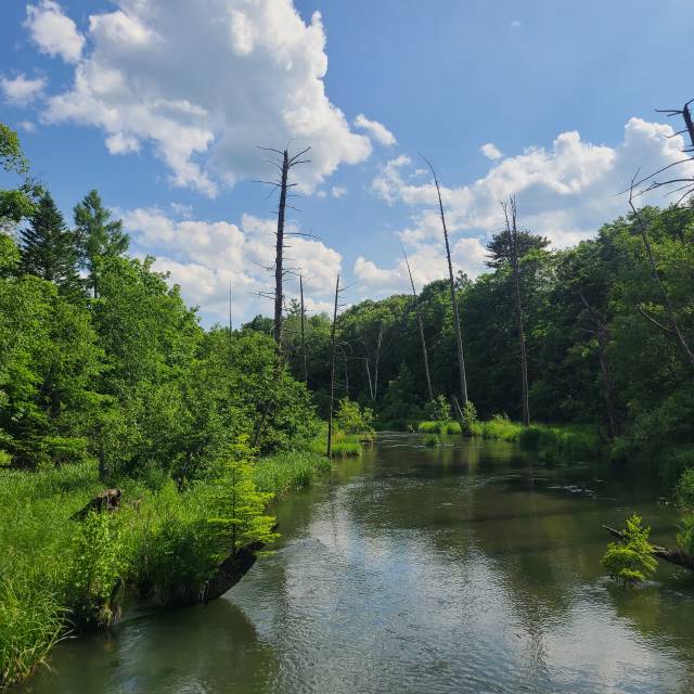 중국 이도백하 ‘내두천’의 모습. 김연하기자