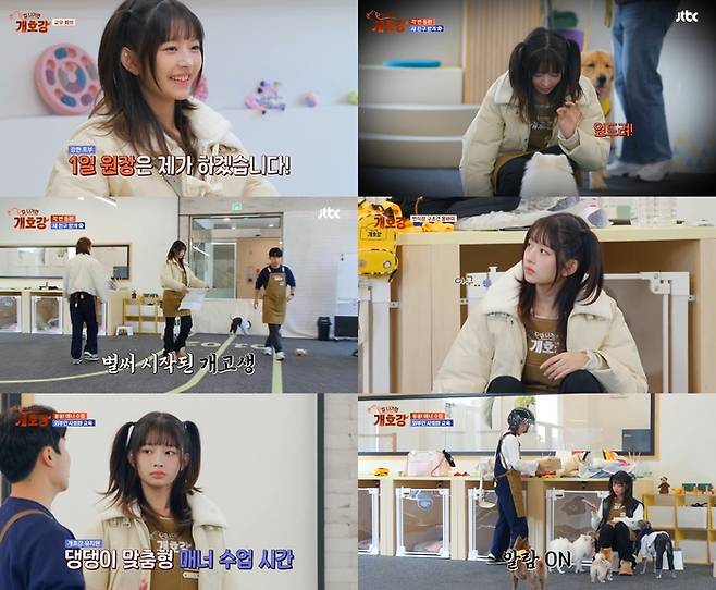 ‘개호강 유치원’ 사진|JTBC 방송화면 캡처