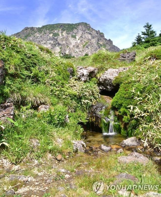 한라산 백록샘 [제주도 제공] 백록샘은 한라산 해발 1천660ｍ 고지에 있는 우리나라 최고 높이 샘이다. 윗세오름과 한라산 남벽 분기점 사이에 있으며 평소에는 탐방이 제한된다.  [재판매 및 DB 금지]