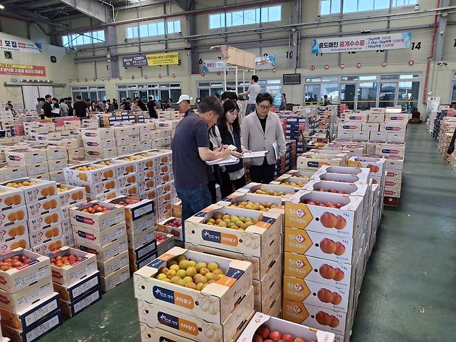 지난 23일 영천시는 경북도 보건환경연구원과 협력해 ‘농산물도매시장 출하 농산물 안전성 검사’를 했다. /영천시제공