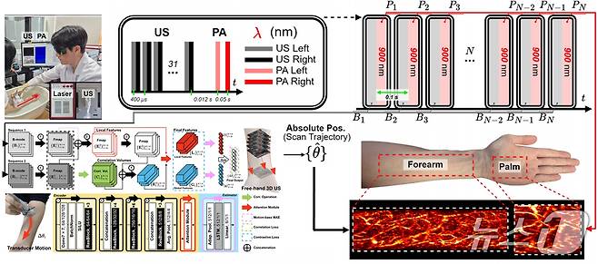 연구 이미지. (부산대 제공. 재판매 및 DB 금지)