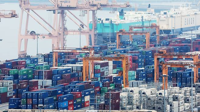 지난 13일 경기 평택시 포승읍 평택항에 수출용 컨테이너가 세워져 있는 모습 /뉴스1