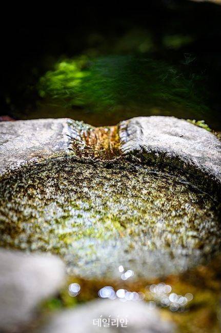 이 작은 옹달샘이 금강의 시작점이다. 땀흘려 찾아간 뜬봉샘을 보고 있으면 신비한 자연의 섭리를 느끼기에 충분하다. ⓒ데일리안 배군득 기자