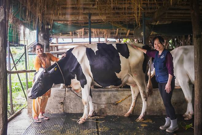 한국에서 보낸 젖소 101마리가 네팔 신둘리지구 카말라마이시에 변화를 일으켰다. 젖소를 받은 농가와 이혜원 헤퍼코리아 대표의 모습. (사진=공동취재단)