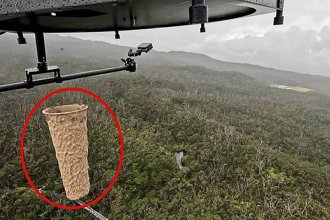 하와이에서 '볼바키아' 박테리아에 감염된 수컷 모기를 살포하는 모습. 사진=미국 조류 보호 협회(American Bird Conservancy)