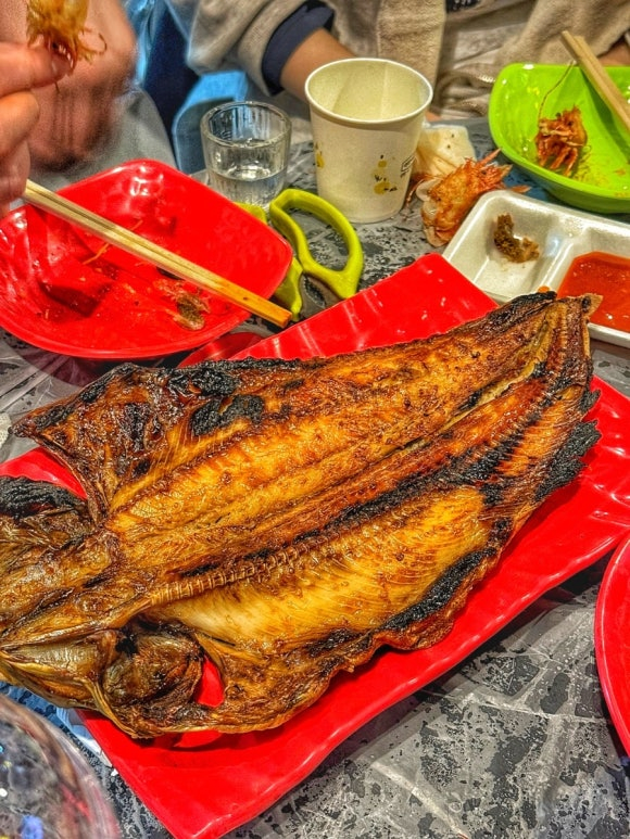 image.png 속초 동명항 근처 포차 맛집