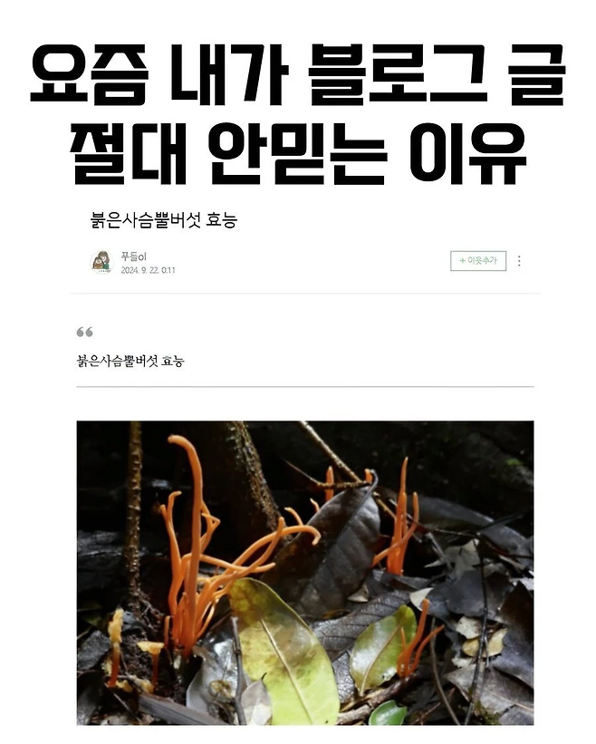 image.png 요즘 네이버 블로그 글을 믿으면 안 되는 이유