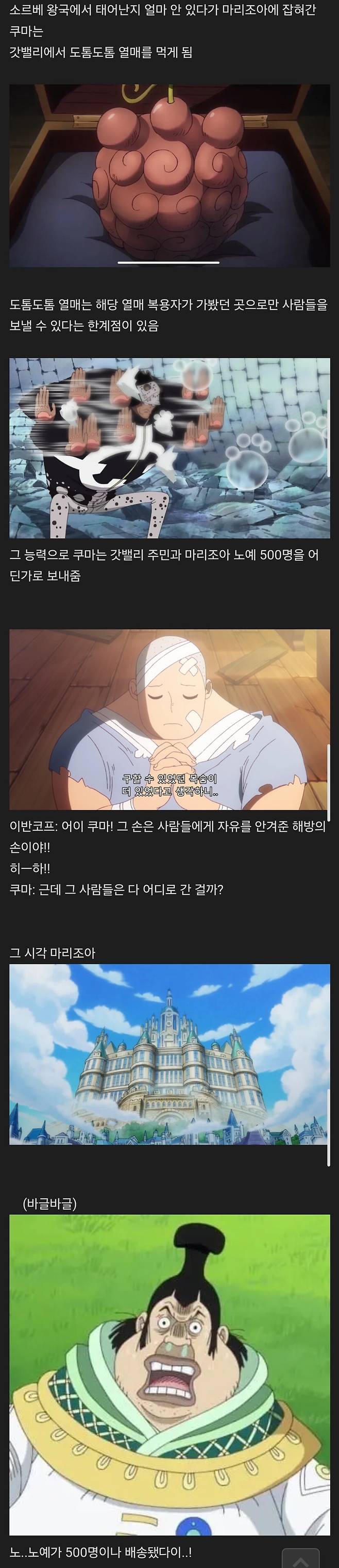 원피스 갓벨리 사건의 진실