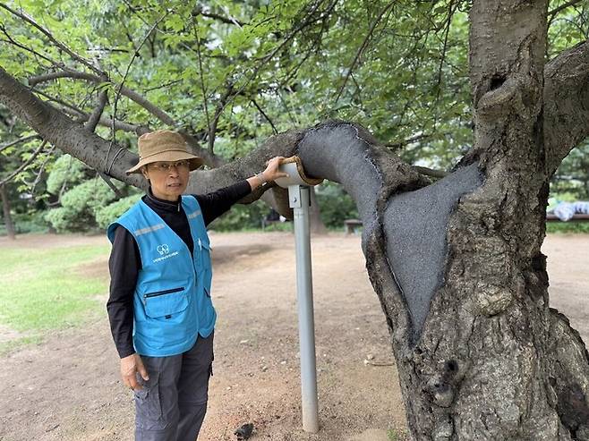 24일 오전 서울 여의도 국회 사랑재 겹벚나무 앞에서 최영선 나무의사(한국나무의사협회 서울지회 대외협력위원장)가 나무의 건강 상태를 설명하고 있다. 김지숙 기자