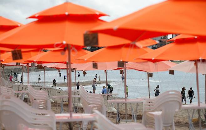 제주도 내 해수욕장 조기 개장을 닷새 앞둔 지난 19일 제주시 이호테우해수욕장에 피서객을 위한 파라솔이 설치돼 있다. 뉴시스