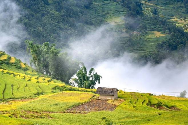 베트남 사파 깟깟마을 계단식 논 / 사진=하나투어
