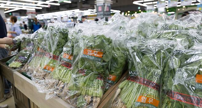 (서울=뉴스1) 이승배 기자 = 열무, 참외 등 여름 제철 농산물 가격이 줄줄이 오름세를 보이고 있다. 22일 한국농수산식품유통공사(aT) 농산물유통정보(KAMIS)에 따르면, 이달 들어 참외 소매 가격은 8.33%, 열무는 14.27% 상승했다. 이외에도 시금치(27.76%), 토마토(12.14%) 등 잎채소와 과채류 전반에서 가격 오름세가 이어지며 밥상 물가 부담이 증가하는 추세다. 22일 서울 시내의 한 대형 마트에서 시민이 장을 보고 있다. 2025.6.22/뉴스1 Copyright (C) 뉴스1. All rights reserved. 무단 전재 및 재배포, AI학습 이용 금지. /사진=(서울=뉴스1) 이승배 기자