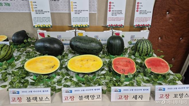 고창수박 /사진=고창군농업기술센터