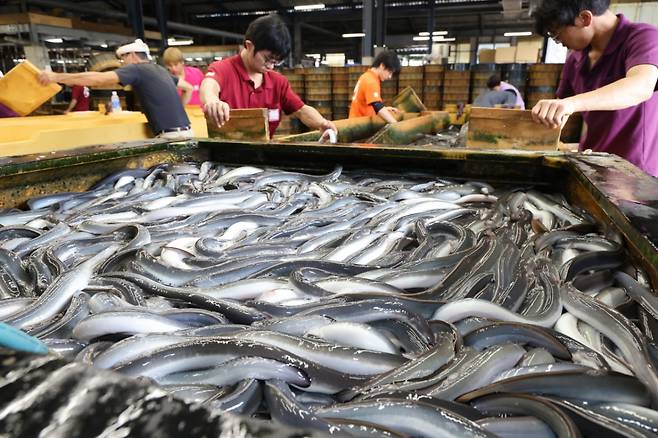 지난해 7월 초복을 맞은 일본 아이치현 니시오시의 수산업자들이 영업 중인 모습./로이터=뉴스1