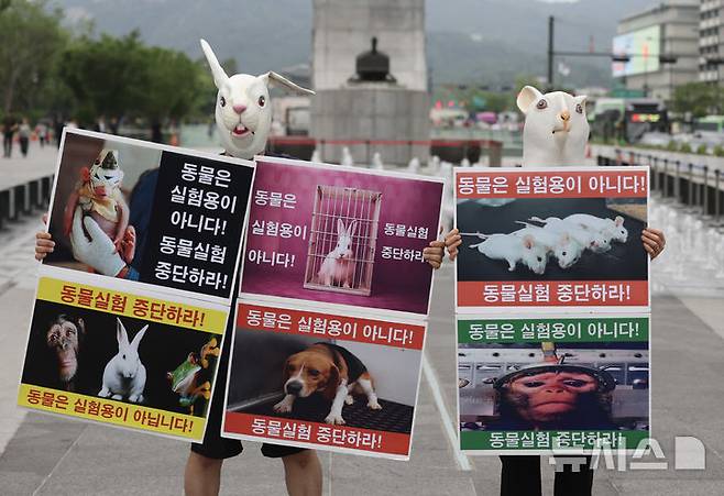 [서울=뉴시스] 김명년 기자 = 한국동물보호연합 회원들이 10일 오후 서울 종로구 광화문광장에서 동물실험 중단 촉구 기자회견을 하고 있다. 농림축산검역본부에 따르면 작년 한해 460여만마리가 동물실험에 사용됐으며 10년 250만마리였던 것과 비교해 200만마리 이상이 늘어났다. 2025.06.10. kmn@newsis.com