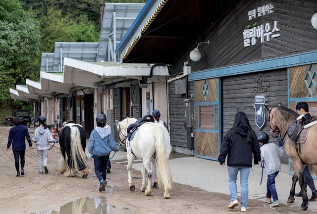 말을 타는 기승 활동 외에도 말을 손질하거나 끌어주기, 승마에 필요한 장비와 바르게 착용하는 법 등을 배우는 것도 재활승마 수업의 일환이다.