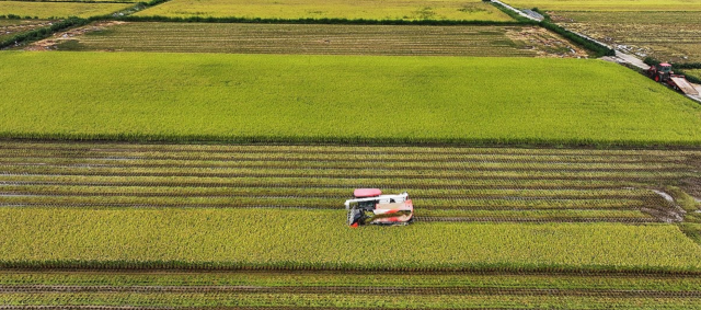 지난해 귀촌 인구는 늘었지만 실제 농사나 어업에 종사하는 귀농·귀어 인구는 크게 감소한 것으로 나타났다. 연합뉴스