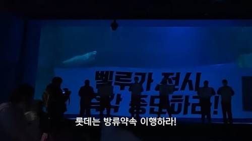 롯데월드 아쿠아리움에서 벨루가 방류 촉구 시위를 벌이는 핫핑크돌핀스 활동가들 [핫핑크돌핀스 홈페이지 캡처. 재판매 및 DB금지]