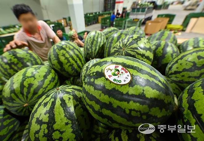 후텁지근한 날씨가 이어진 25일 오후 수원시 권선구 농수산물도매시장에서 과일동 관계자들이 여름 제철 과일인 수박 하역 작업을 하고 있다. 임채운기자