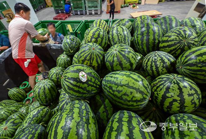 후텁지근한 날씨가 이어진 25일 오후 수원시 권선구 농수산물도매시장에서 과일동 관계자들이 여름 제철 과일인 수박 하역 작업을 하고 있다. 임채운기자