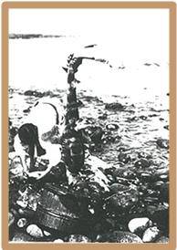 Walther Stötzner, Kreuz und quer durch Korea, p.61