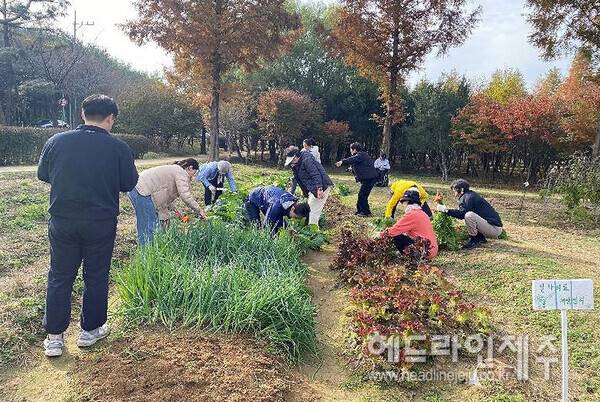 지역사회 연계 일차의원 건강자조모임. 사진=일산병원 일차의료개발센터