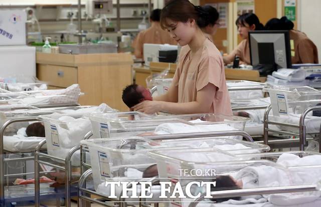 출생아 수가 34년 만에 가장 큰 폭으로 증가하며 10개월 연속 증가세를 이어갔다. /뉴시스