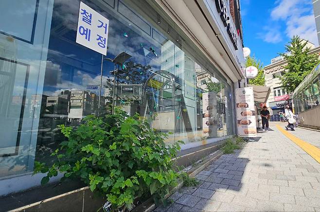 서울 서대문구의 철거예정인 한 상가건물 앞에 피어난 잡초, 2024년 9월/ 조인원 기자