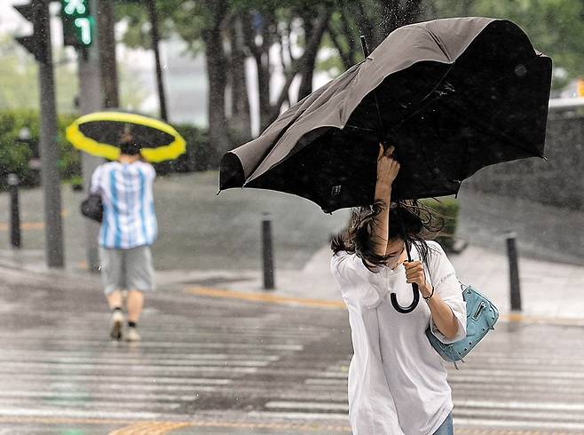 24일 전국에 장맛비가 내리겠다. 사진은 20일 서울 역삼역 근처에서 비와 강한 돌풍을 뚫고 시민들이 길을 건너는 모습. /장련성 기자