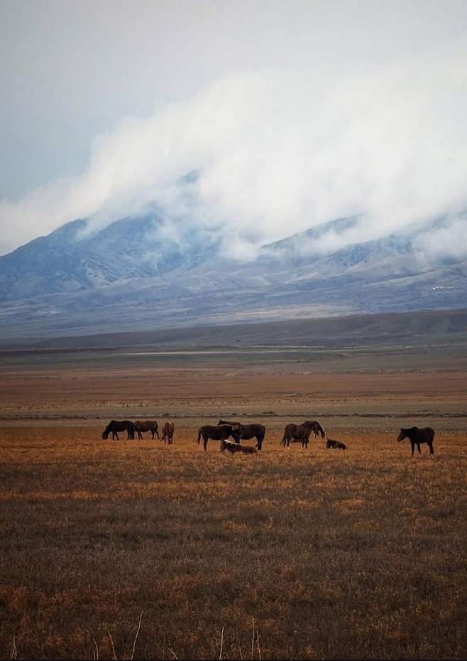 7f9c8977bc8760fe23e98793349c706fd928d3a898c28962ec5a6dc328be9e65953e59d3eefae59cbb2f32df03600e9dc98dca052e