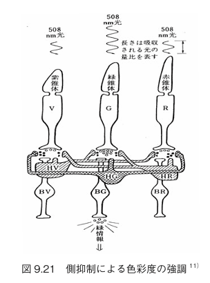 24b0d121e09c28a8699fe8b115ef046b6b699231