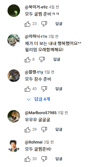 image.png 방송사 예능 영상 댓글 근황