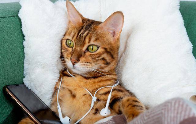 게티이미지뱅크