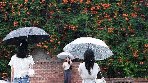 대구 중구 대봉동 한 건물 외벽의 '능소화 폭포'에서 우산 쓴 시민들이 활짝 핀 능소화를 배경으로 사진을 찍고 있다. [사진=연합뉴스]