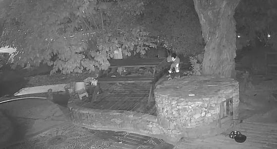 지난 8일 비비탄 난사 사건 당시 현장 CCTV에 찍힌 가해자 모습. 개집에 총부리를 겨누고 비비탄을 난사하고 있다. 연합뉴스