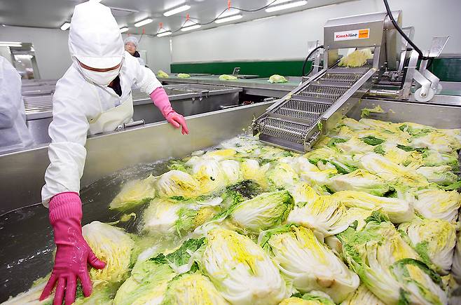 A kimchi factory [YONHAP]